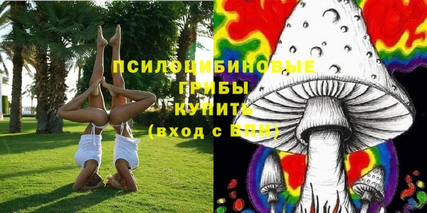 ПСИЛОЦИБИНОВЫЕ ГРИБЫ Верея