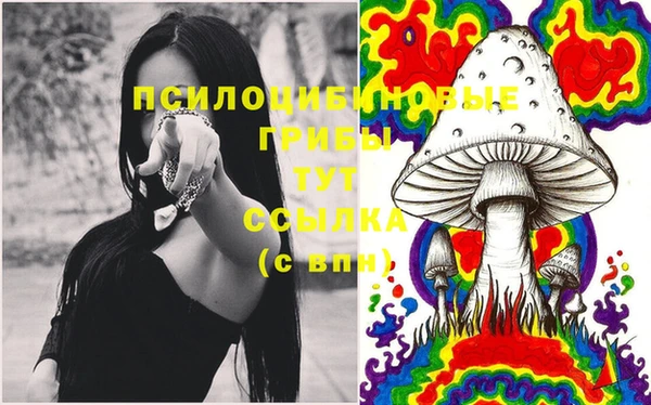 ПСИЛОЦИБИНОВЫЕ ГРИБЫ Верея