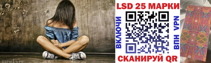 дарнет шоп  shop официальный сайт  Наркотические марки 1,8мг  Кисловодск 