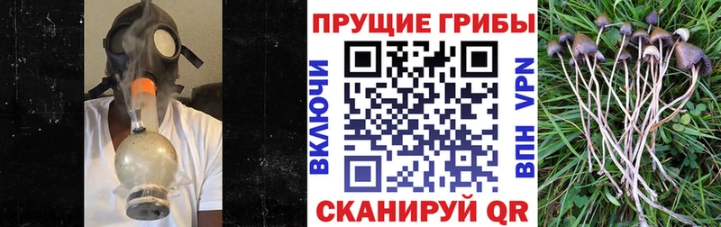 Псилоцибиновые грибы мухоморы где купить наркоту Кисловодск